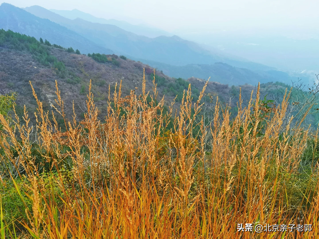 北京新修好的步栈道，几乎没人知道