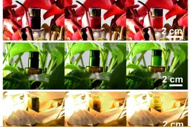 从业余爱好中获得灵感，高校副教授发明隐形材料图片