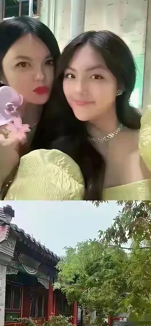 李湘在平台晒自家北京小院，大到让网友以为是景区，真的太有钱了