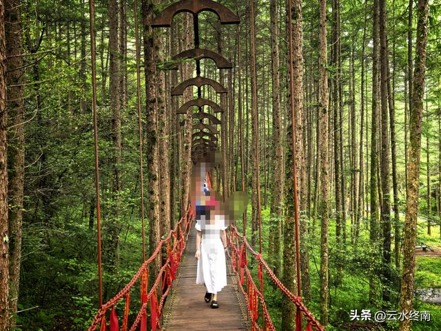 情人谷牛奶湖高山草甸：蜀道中“秦岭秘境”变成了一路的网红景点