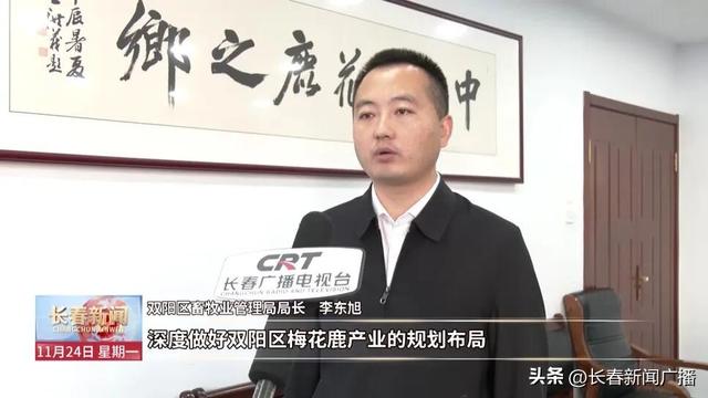 高质量发展新答卷丨双阳区：“鹿”鸣林海促融合 文旅赋能绘新卷