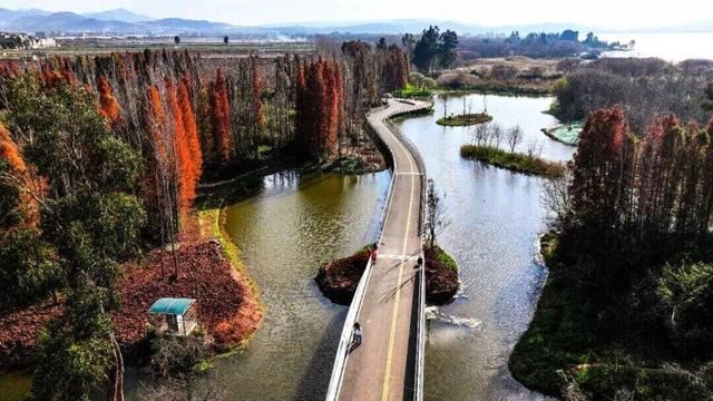 昆明冬日顶流回归！约起！