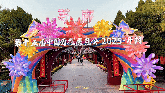 当“菊”者迷！这片花海何以“秋香醉人”