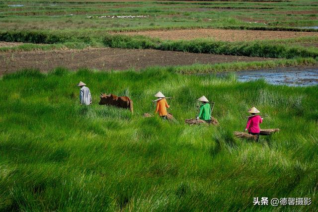 行摄越南，从南到北（8）——莎草地归家&渔女补网&棕榈簸箕船