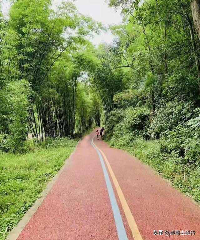 成都彭州5条爆红徒步线路，被严重低估，全部免费，景色秀美！