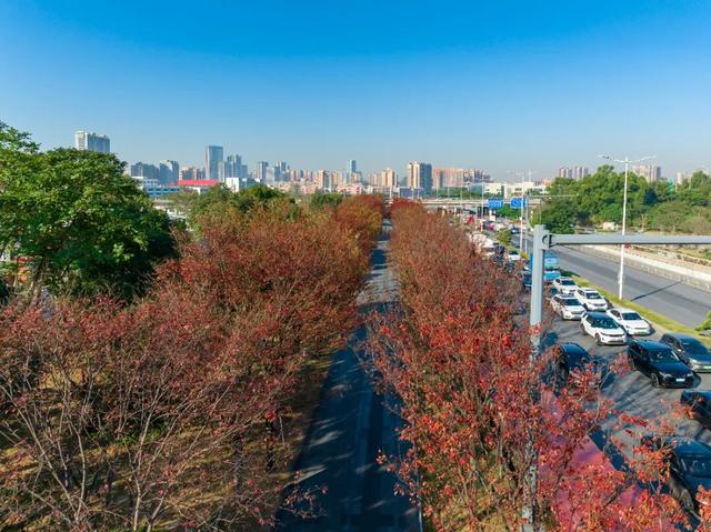 看！是金黄色的光明！