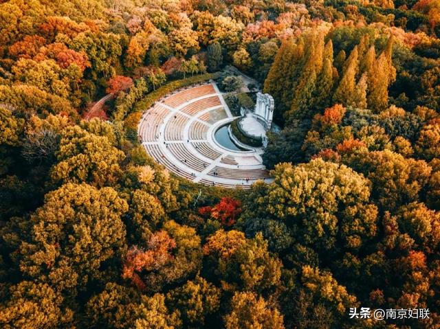部分已约满，请抓紧预约