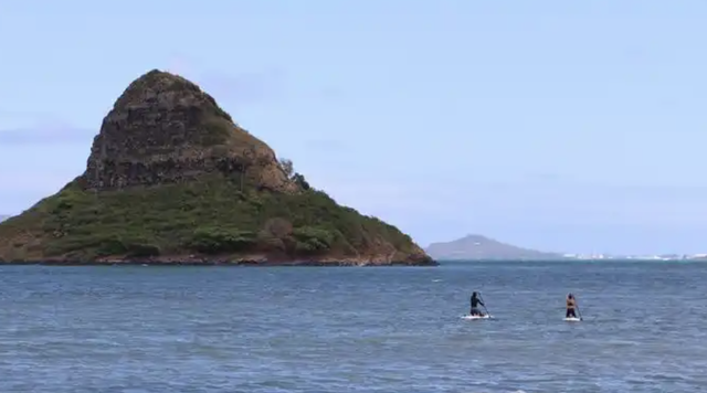 花8万美元乘豪华游轮！80岁老人被遗蜥蜴岛，5小时后才发现失踪