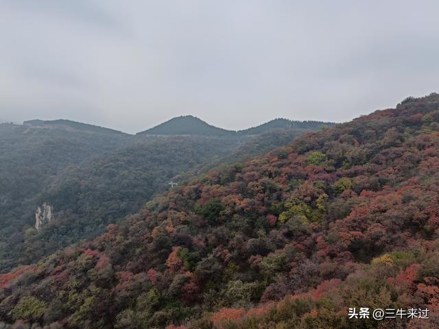 无为在歧路，柿岩之红叶