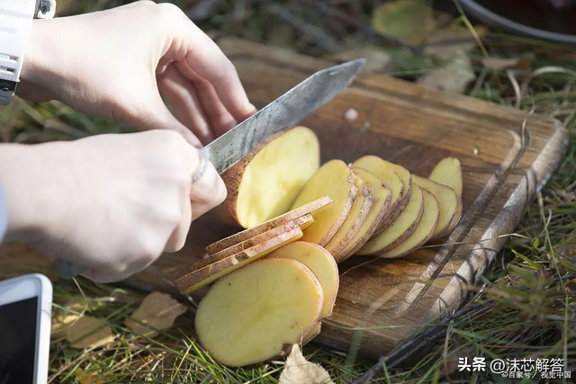 什么程度的土豆算发芽，揭秘土豆发芽：什么程度才算是危险的开始