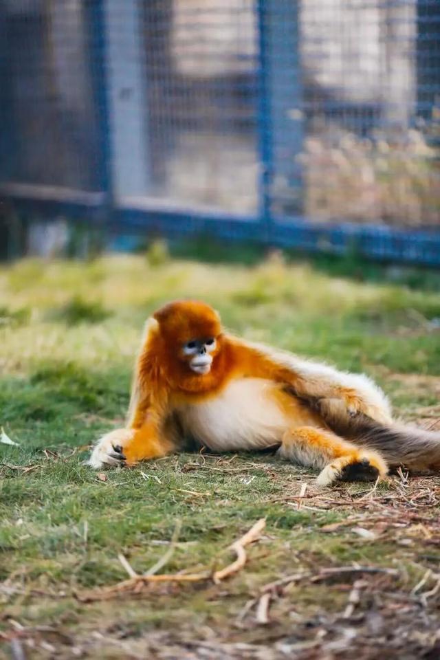 周末好去处丨免费打山泉水！烟台这条徒步秘境火了