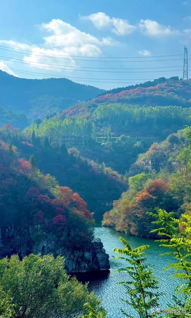 实拍！红的橘的黄的，整个淄博“燃”起来了！这些路段落叶缓扫→