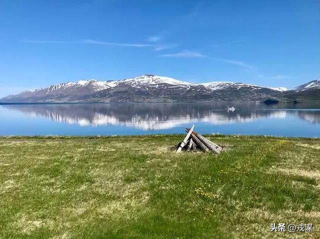 冰岛“无蚊净土”没了！冰岛首次发现蚊子，人类可能是“帮凶”？