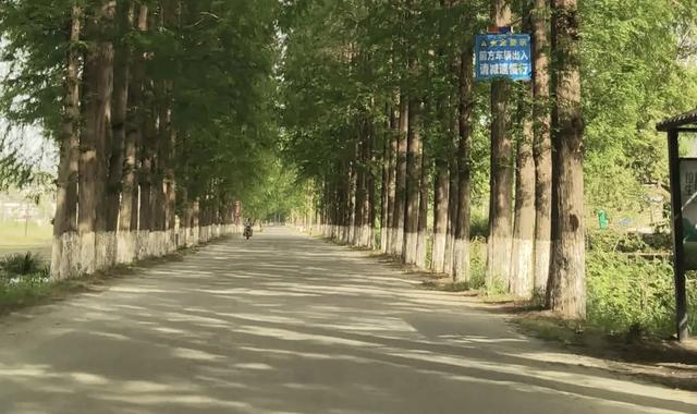 大别山鄂东淘汰的老318国道,是被人遗忘了吗?