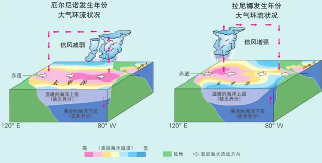 今年冬季气候或大变，会不会特别冷？我国、NOAA都预警拉尼娜回归