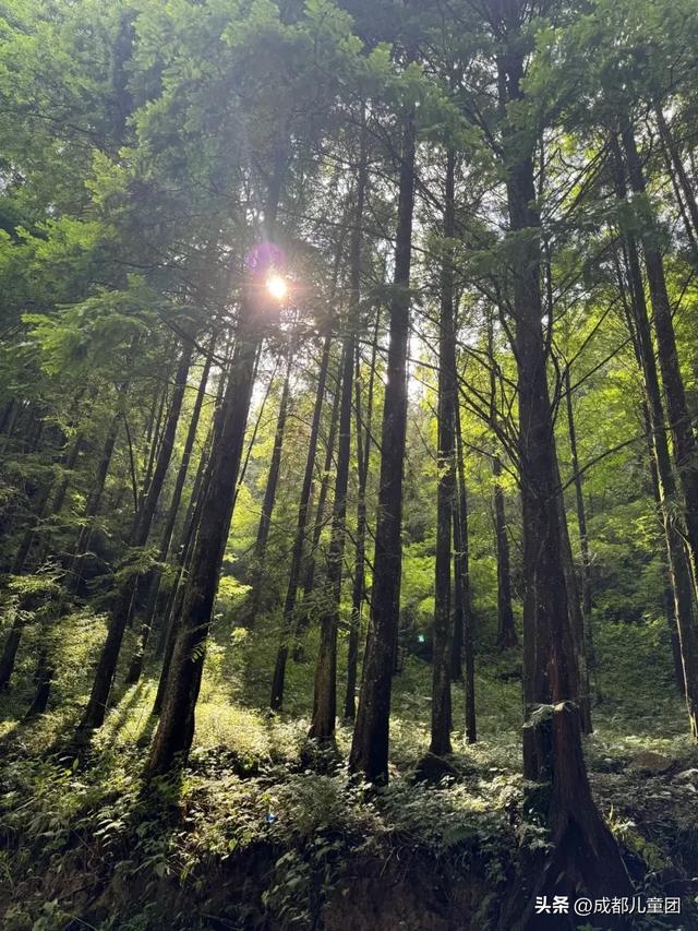 10条初秋徒步线路，去草甸、果园、森林里找秋天