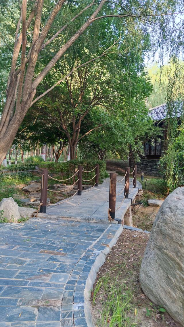 银川花博园真的好大，好大，是我见过的最大的花园