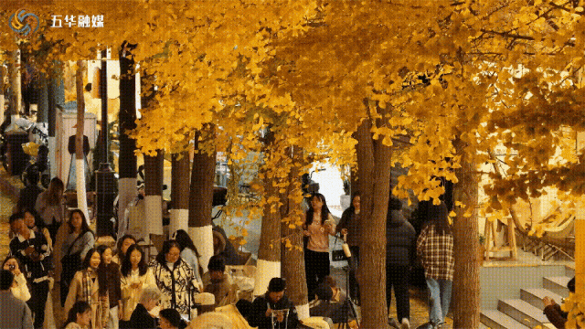 冬日美景在五华｜暮色如画，来文林街感受夜晚的“杏”动时刻