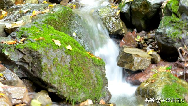 河北百草畔（上）：风动孤石悬险韵，蚁巡深岭蕴生机