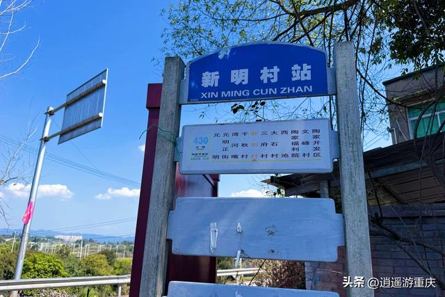 西彭新民村：万亩金浪入画来，重庆藏着个金色童话