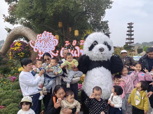 金菊璀璨映光谷，万平花海绘新篇 东湖高新区第42届金秋菊展今日盛大启幕