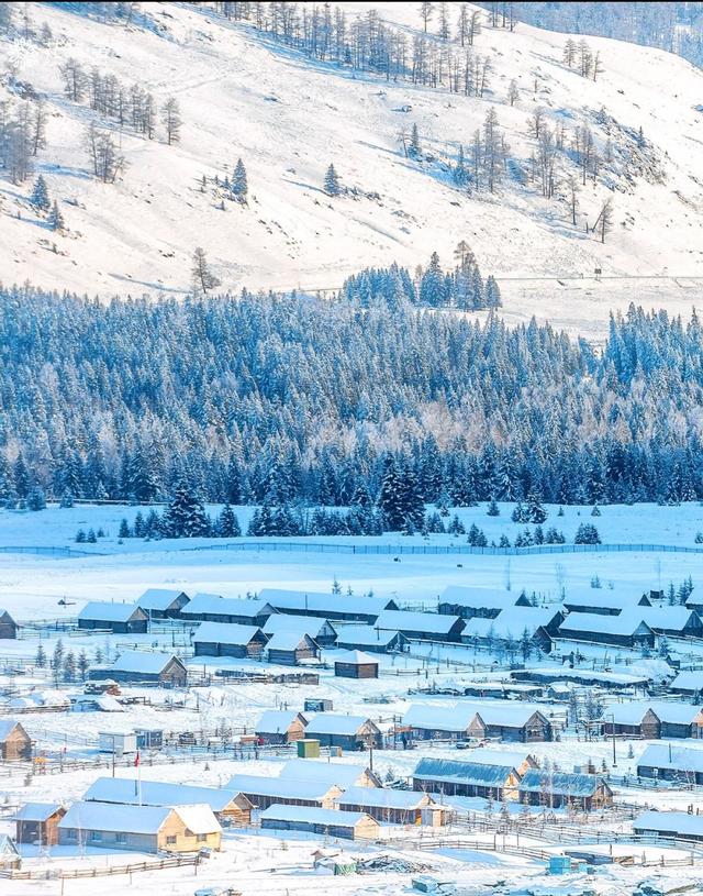 阿勒泰冬日仙境，雪域精灵跳跃，我被这片童话世界震撼了