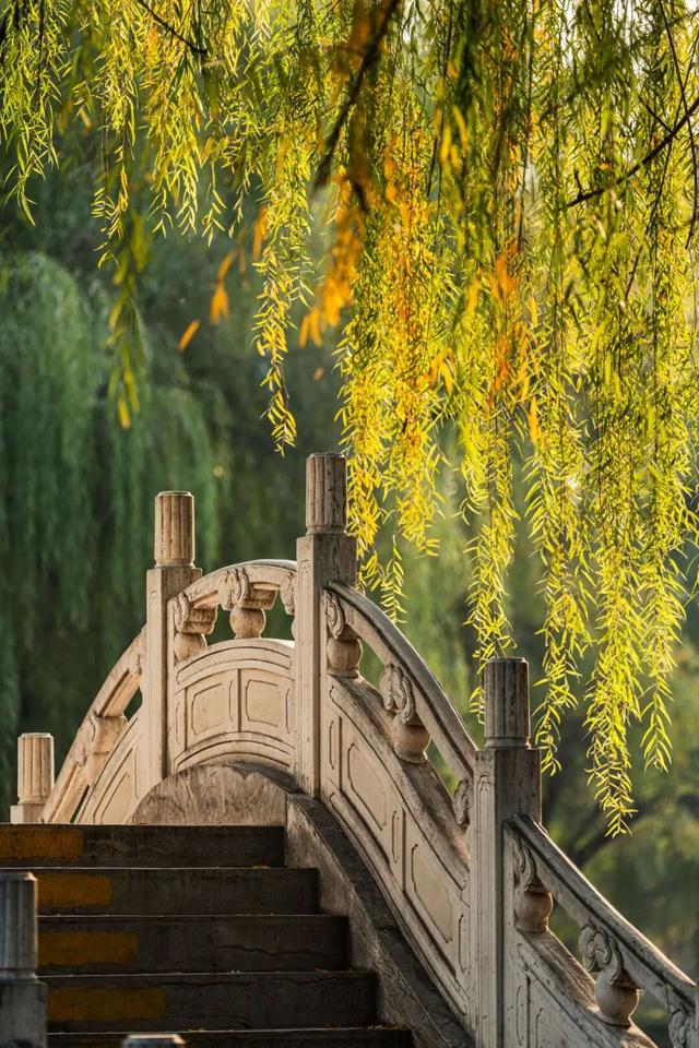 此刻，随手拍洛阳，美景如画！