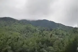 林业局回复:耕林地、园地等一级地类不一致，以自然资源为准图片