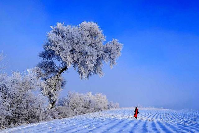 北国江城，雾凇之都，中国B型城市旅游指南之吉林