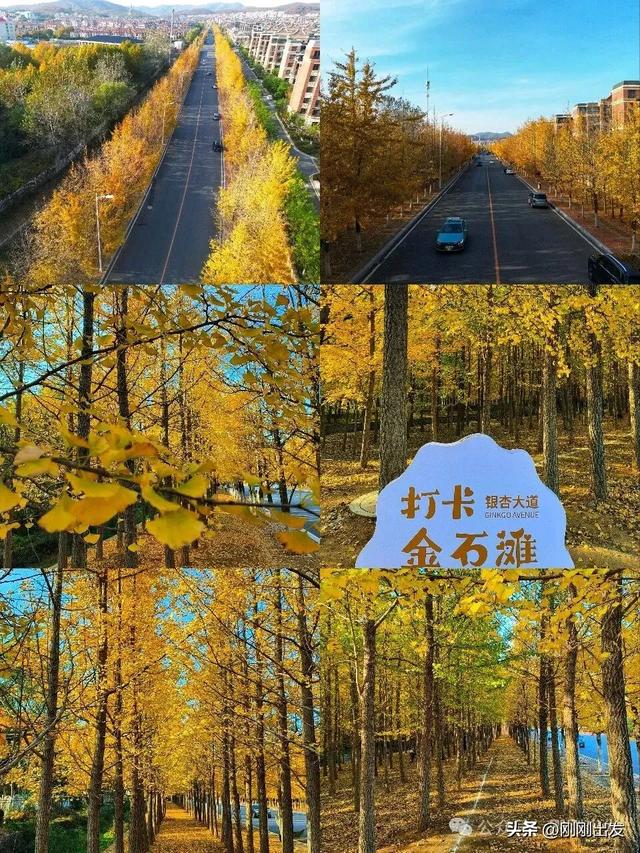 大连最美的15个秋天打卡地，看看去过几个