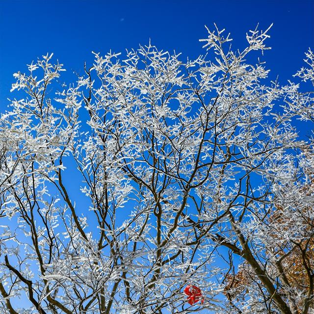 航小天带你看长安 | 雪落终南，千年诗意向云端！