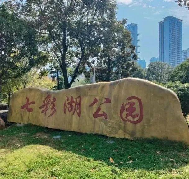 速戳！贵阳白云风筝嘉年华，随风筝趣玩白云