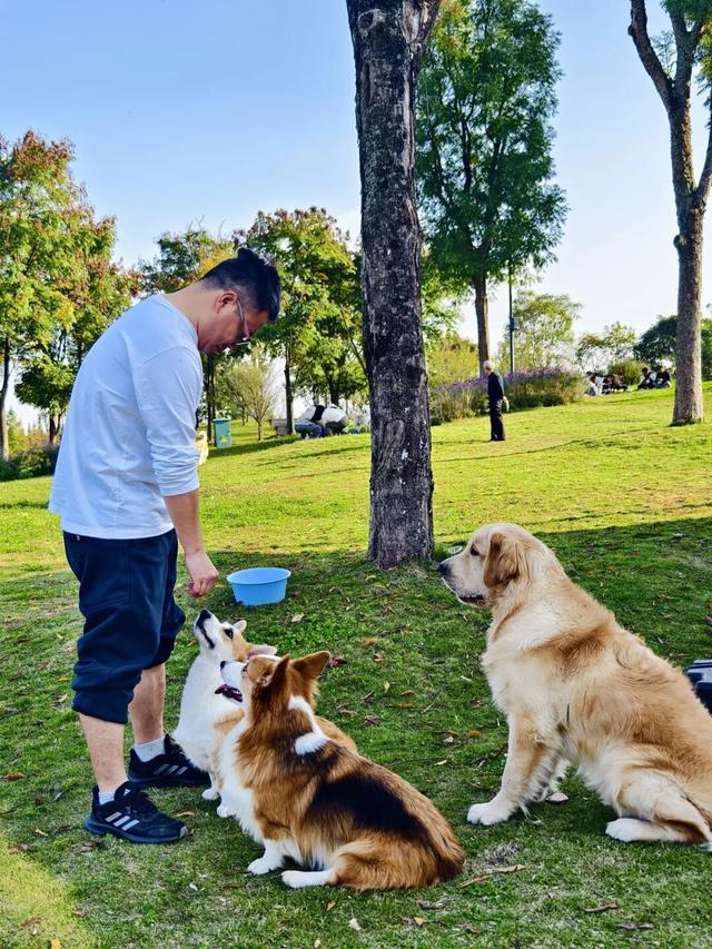 新津人的“小美满”，开启全民晒太阳模式