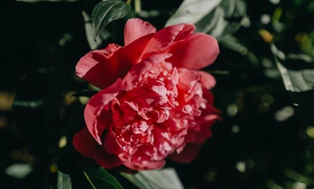 心理学：这就是“中年男女暧昧”的本质原因