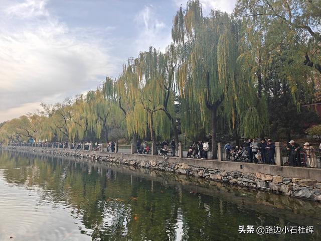 从童年嬉闹到诗意园林——一个北京土著的北海公园记忆