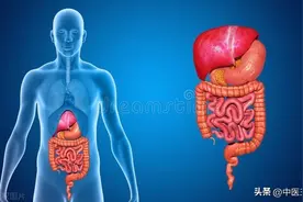 千古健脾第一方小建中汤，脾胃调，百病消！图片