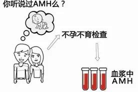 AMH——女性生育力评估的金标准图片