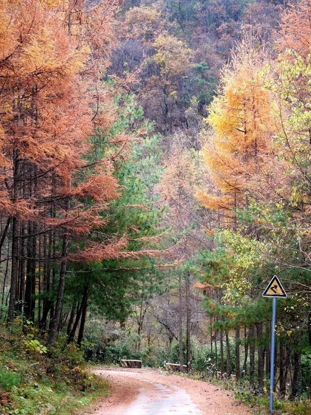 警告！深秋的徽县，千万别出门！因为……