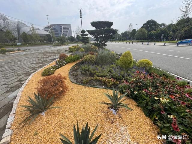 一定要去走走，温江这波街景焕新了！