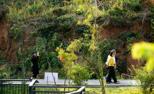 走！怀集人遛娃散步就去这...