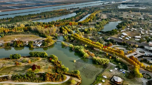 谁说初冬只有萧瑟？来太白湖新区解锁绚烂生机打卡地