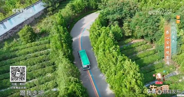 茶山牧场，入选省级典型案例！