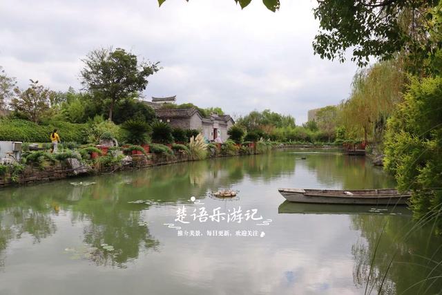 宁波这个网红菊花展已经上线，花还没开但景色很美，快来先睹为快