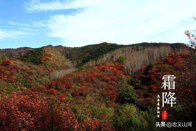 盂县24节气风光——霜降
