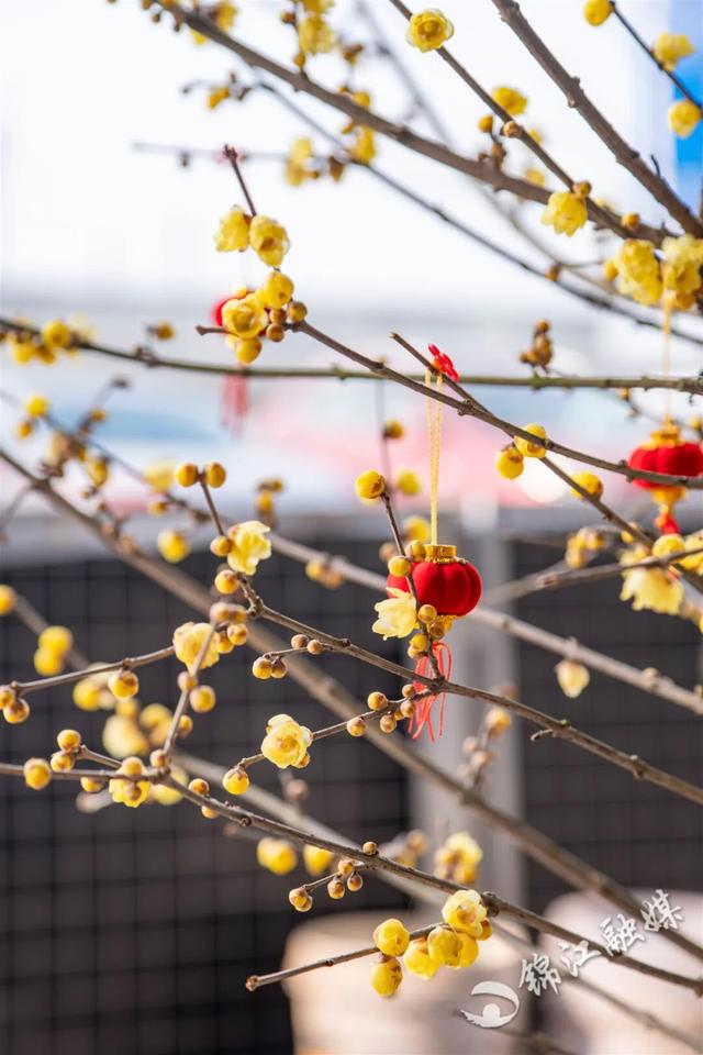 这一波是真香了！