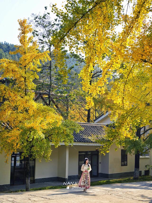 漫游韶关，赴一场山水间的秋日之约