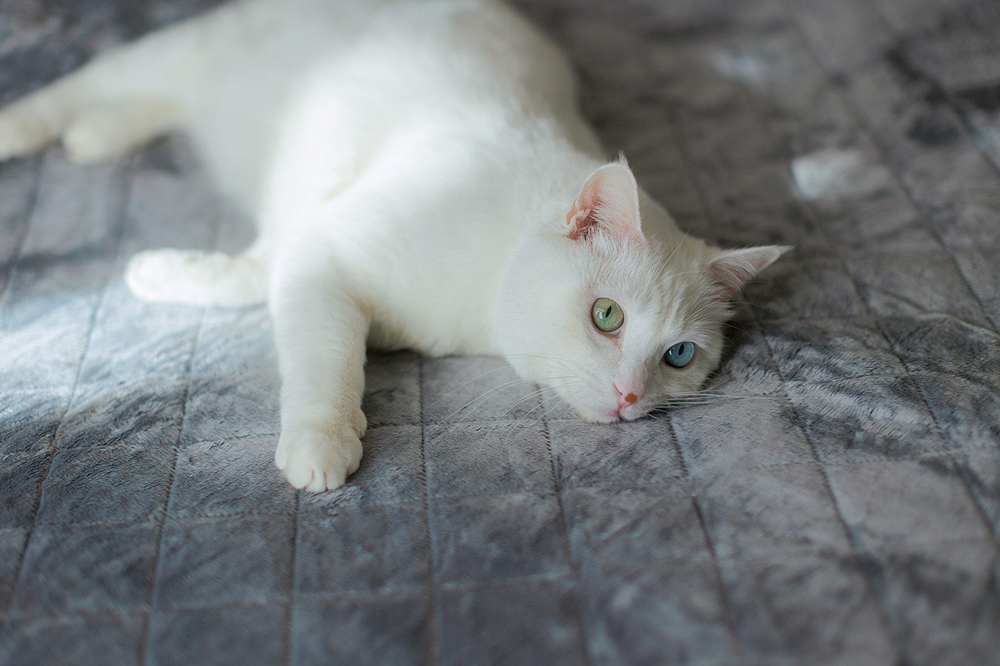 暖得安心!宫菱水暖毯测评:死磕母婴特护标准,安全无毒无辐射