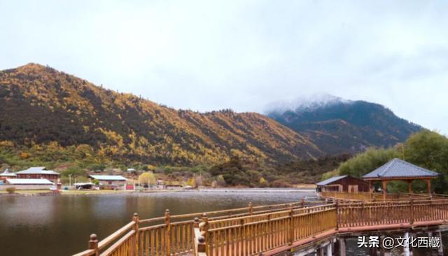 挖到国内巅峰秋景！半山秋色半山雪，不来西藏这里真的亏大了！