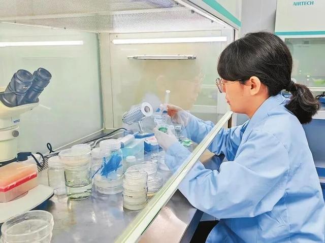 繁制全国6成蔬菜种子！为什么这里租金5000元/亩菜农也愿来种菜？