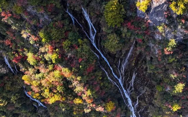 藏在武都的深秋秘境！
